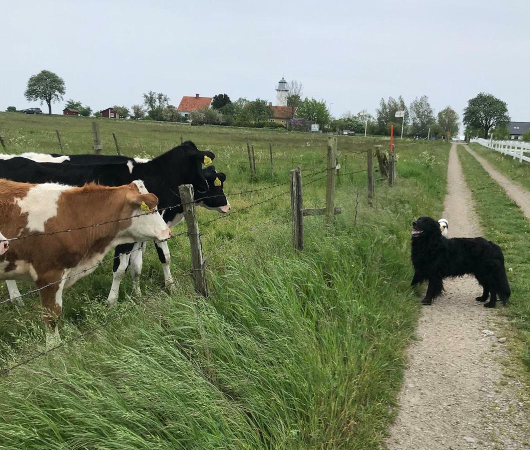 Stf Smygehuk Fyr & Logi Ostello Smygehamn Esterno foto